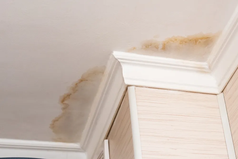 Take These 4 Immediate Steps if Your Roof Is Leaking