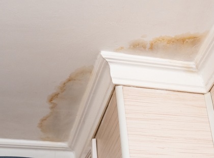 Take These 4 Immediate Steps if Your Roof Is Leaking